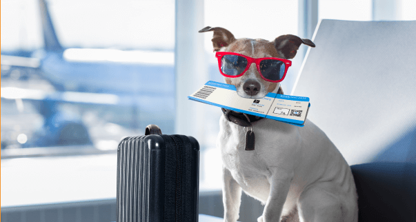 Travel Certificates<br />
