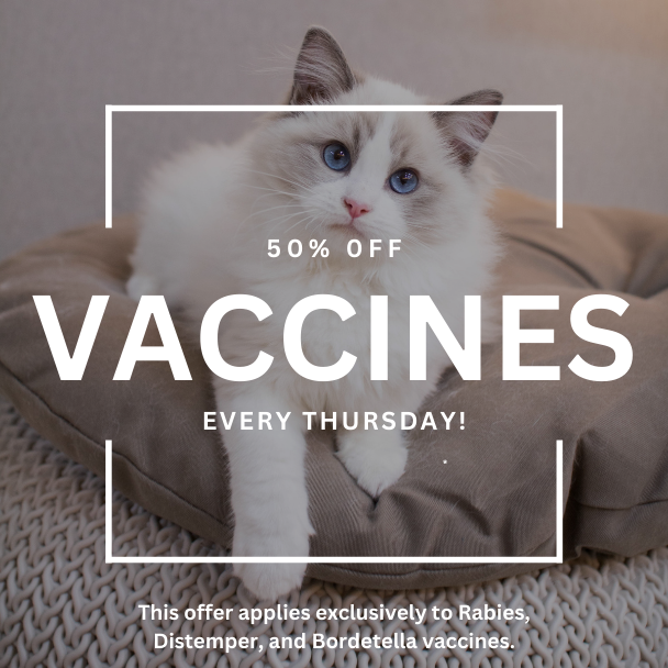 Touhy animal hospital discount: 50% off vaccines every Thursday!
