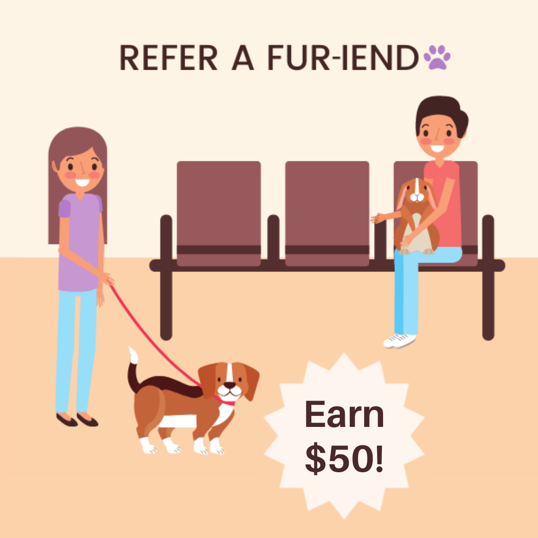 Refer a friend to Touhy Animal Hospital and you and your friend both get $25