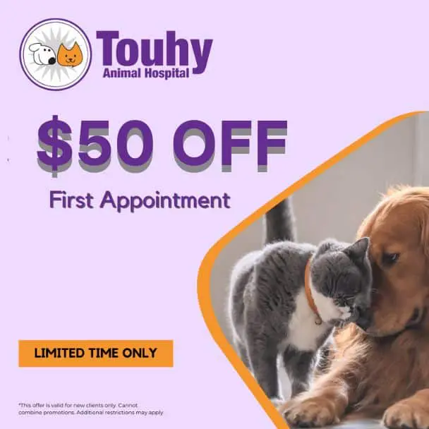 Refer a friend to Touhy Animal Hospital and you and your friend both get $25