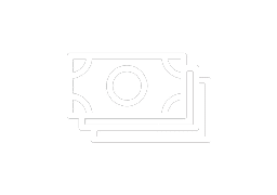 cash icon