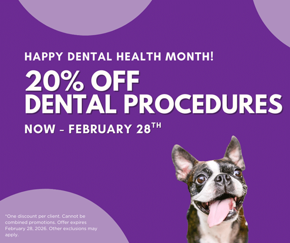 Touhy animal hospital discount: 50% off vaccines every Thursday!