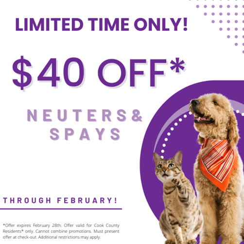 Touhy animal hospital discount: 50% off vaccines every Thursday!