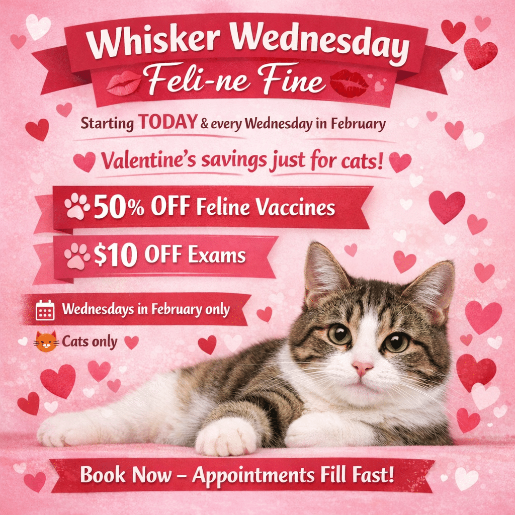 Refer a friend to Touhy Animal Hospital and you and your friend both get $25