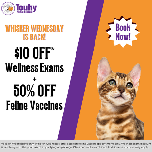 Refer a friend to Touhy Animal Hospital and you and your friend both get $25