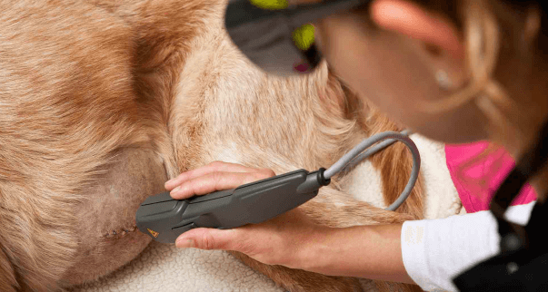 Laser Therapy<br />
