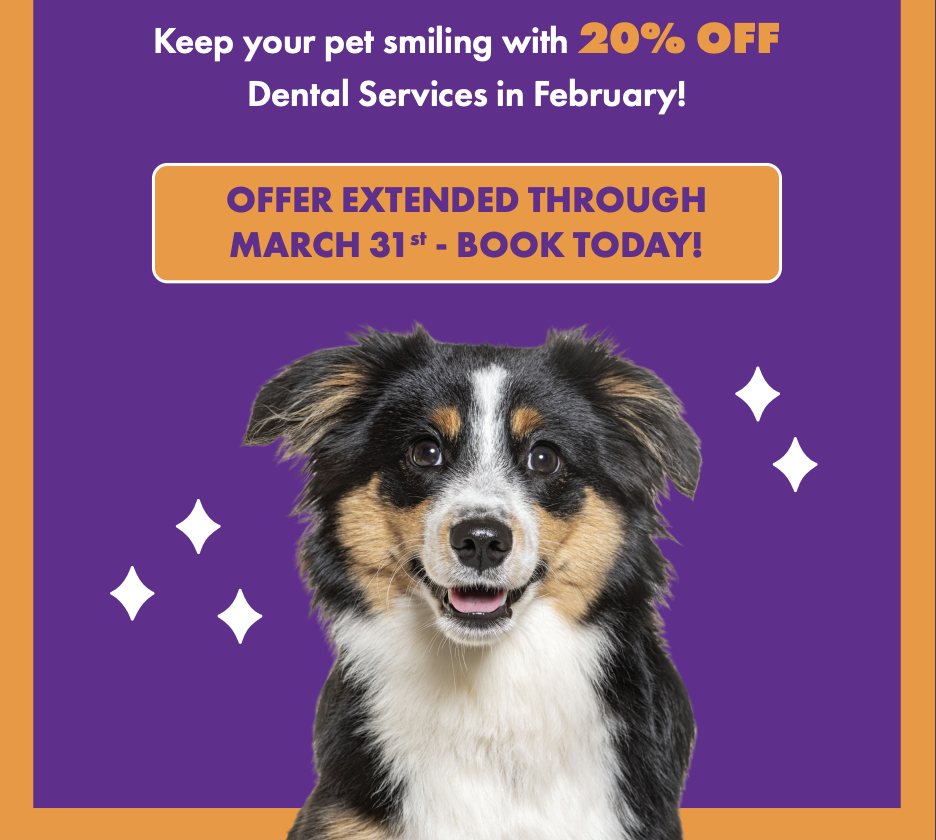 Touhy animal hospital discount: 50% off vaccines every Thursday!