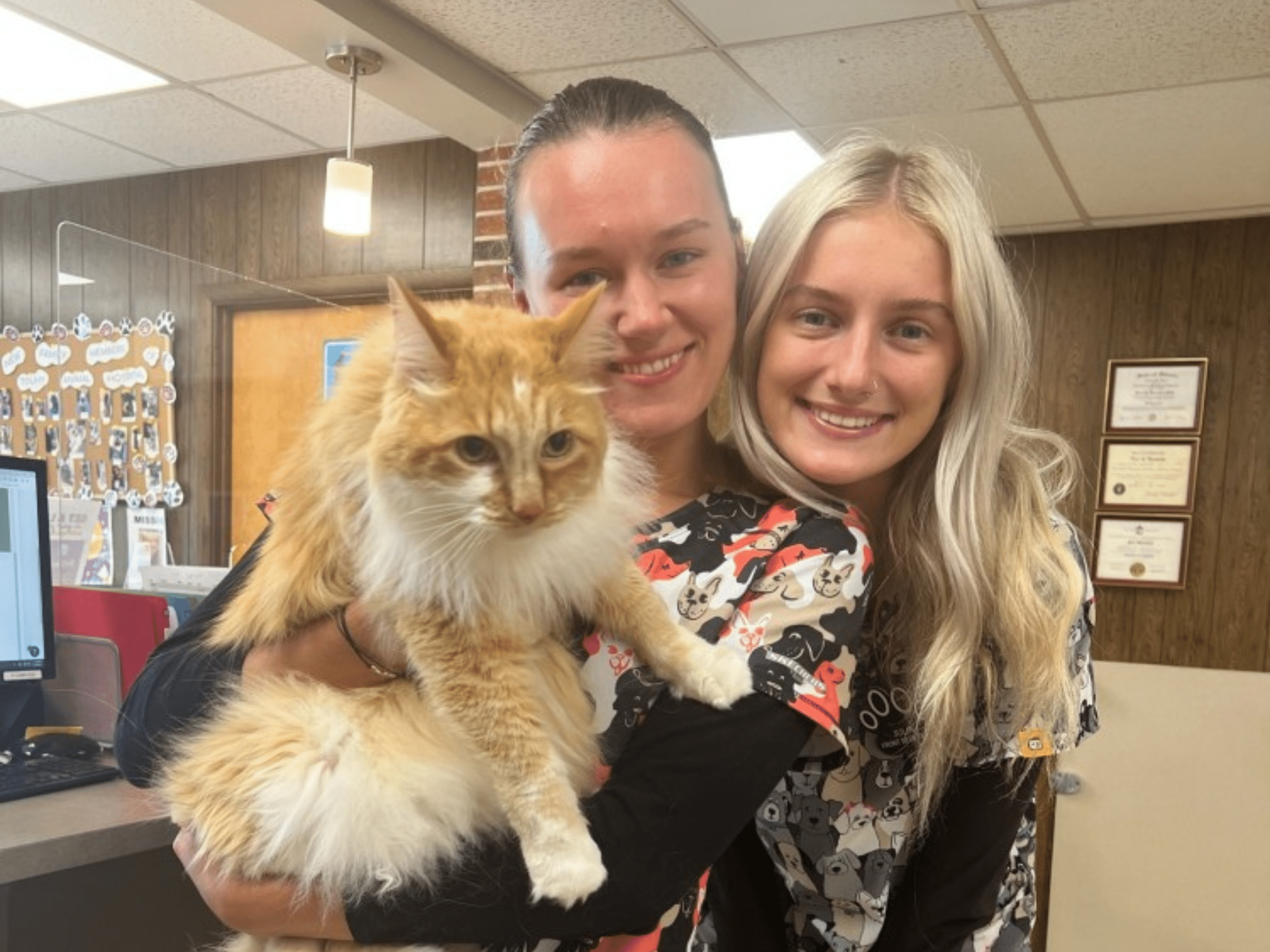 Touhy Animal Hospital Staff