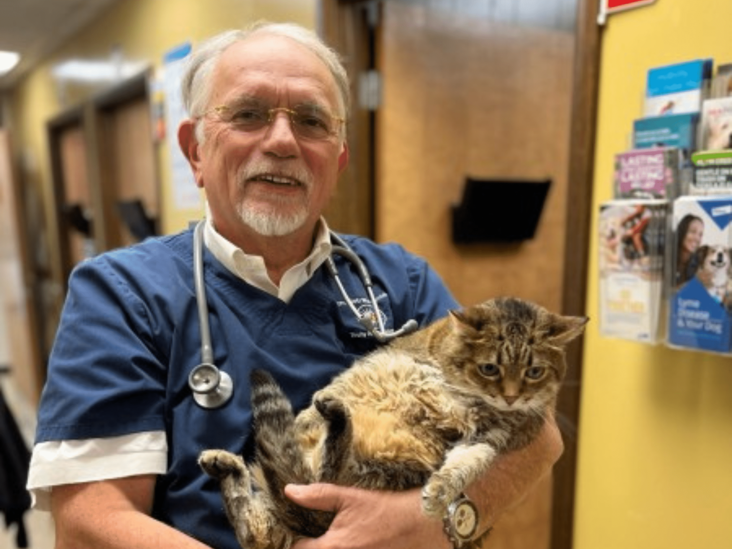 Touhy Animal Hospital Staff