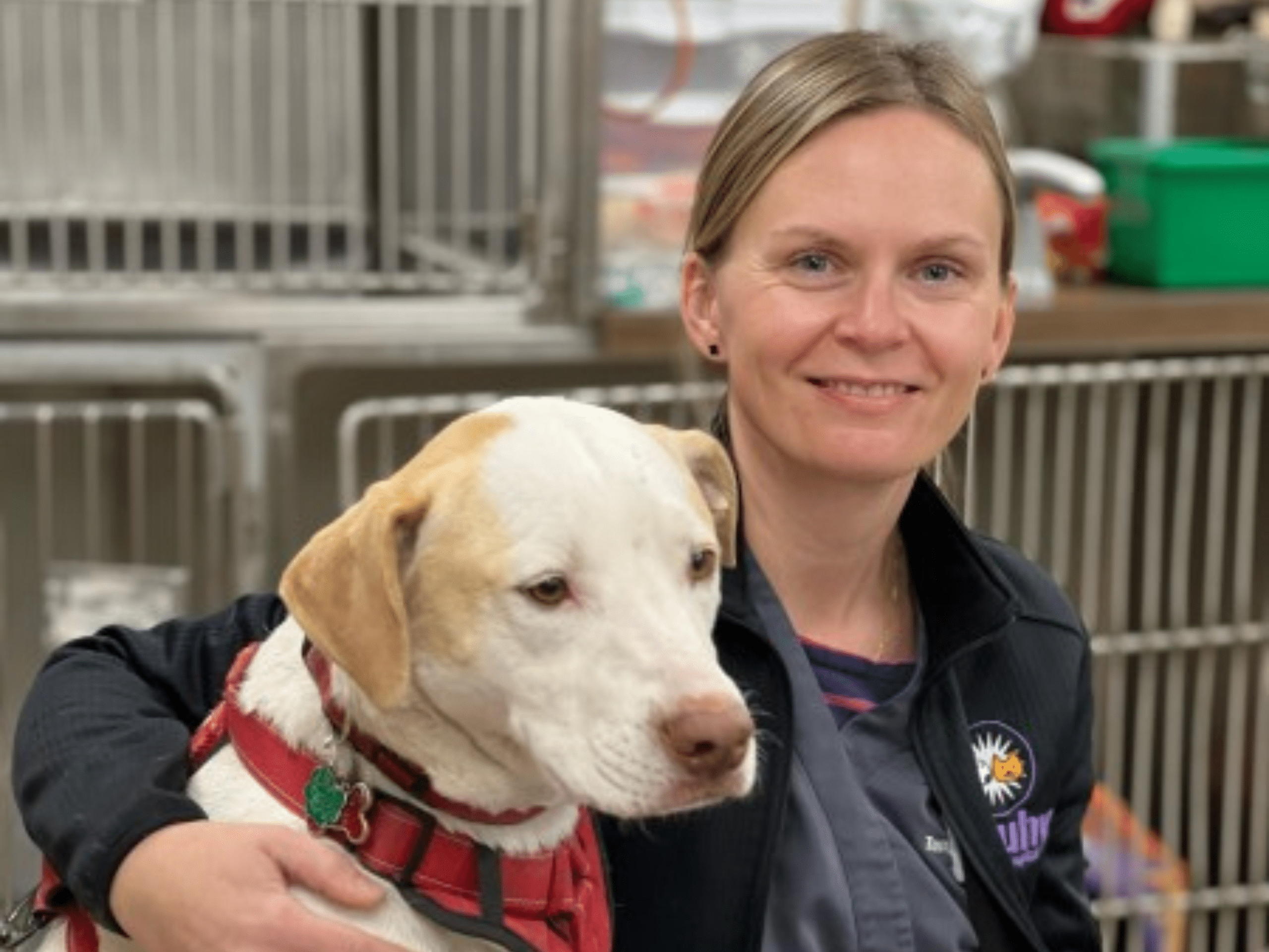 Touhy Animal Hospital Staff