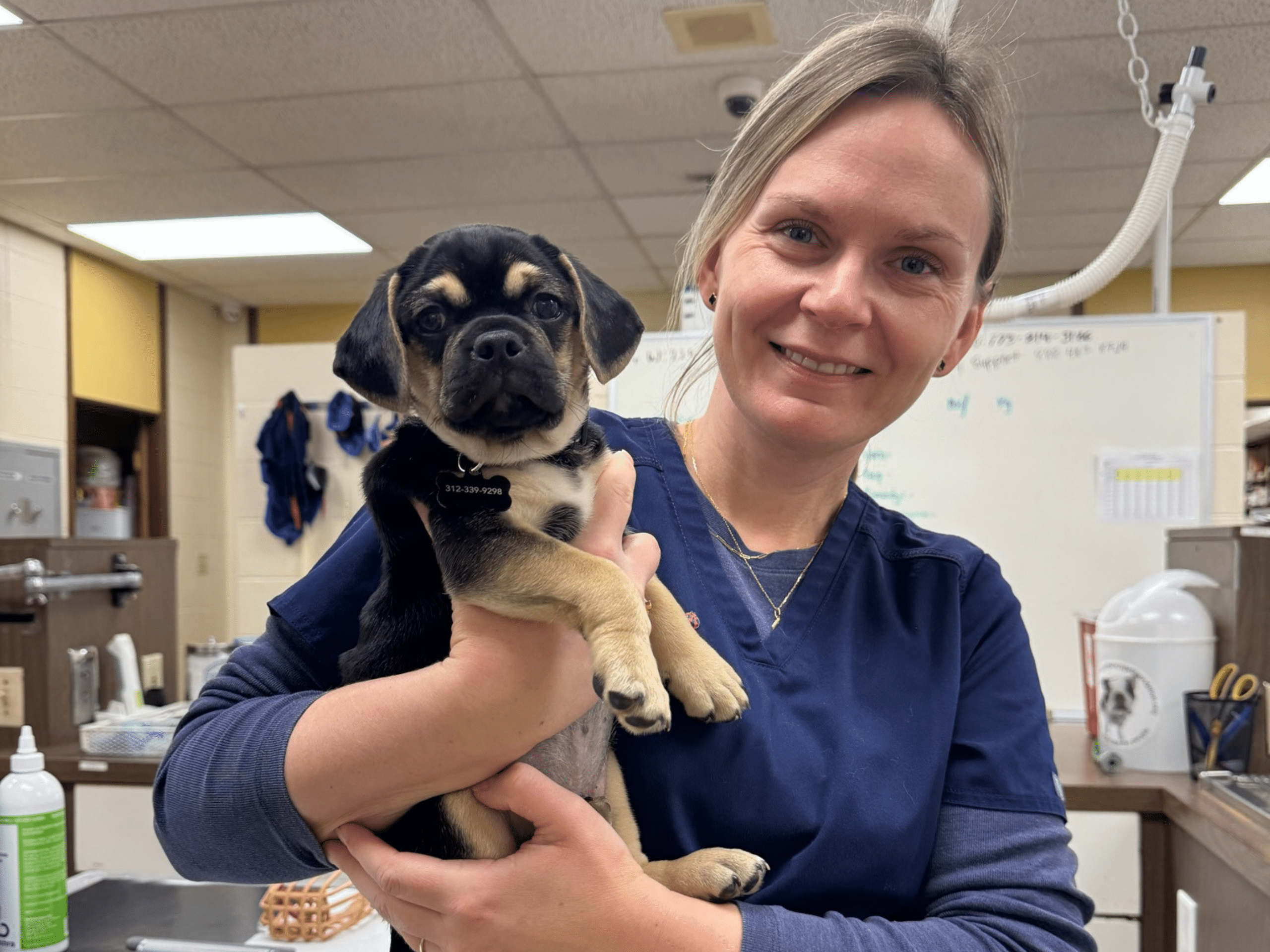 Touhy Animal Hospital Staff